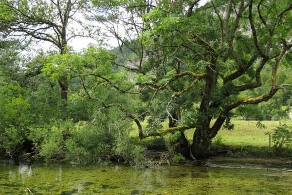 Von Le Pont nach Vallorbe 