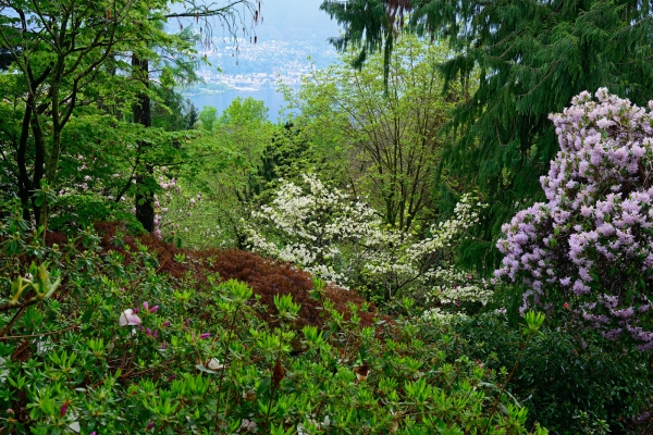 Le Gambarogno au printemps