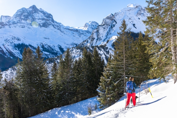 Schneeschuhtraum auf Gitschenen UR