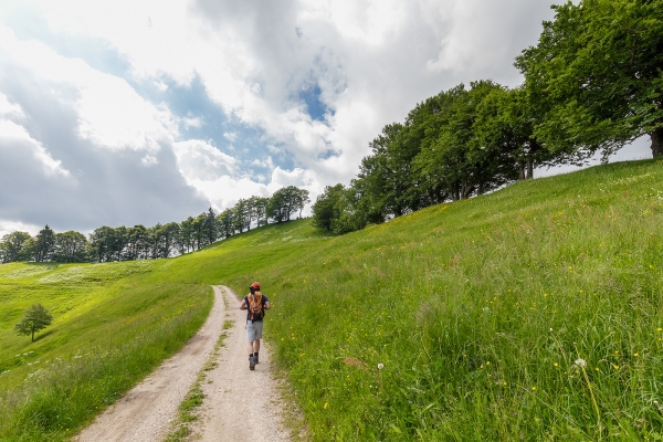 Auf dem Grenzpfad im Napfbergland 1