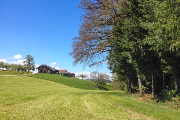 Montée vers le soleil dans la région du Napf