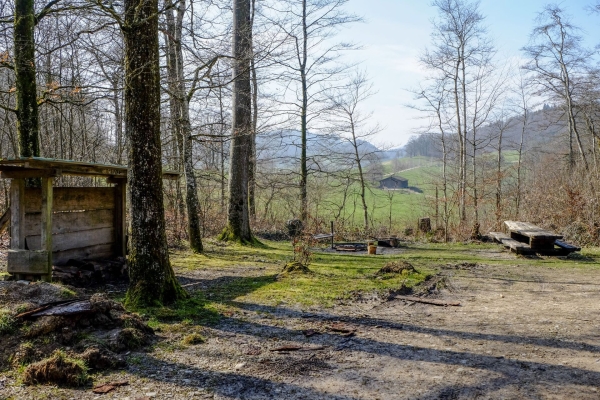 Gemütliche Wanderung durch den Regionalpark Aargau