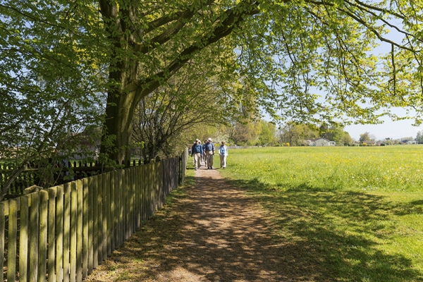 Frühlingsauftakt am Bodensee 