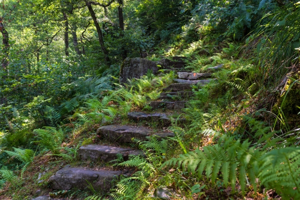 Châtaignes, escaliers et rustici dans le Tessin