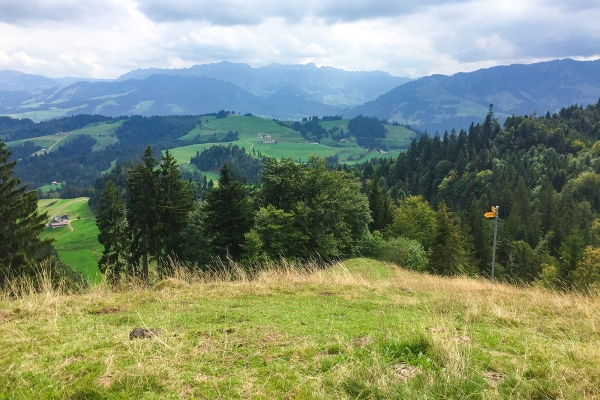 Auf dem Grenzpfad im Napfbergland 2