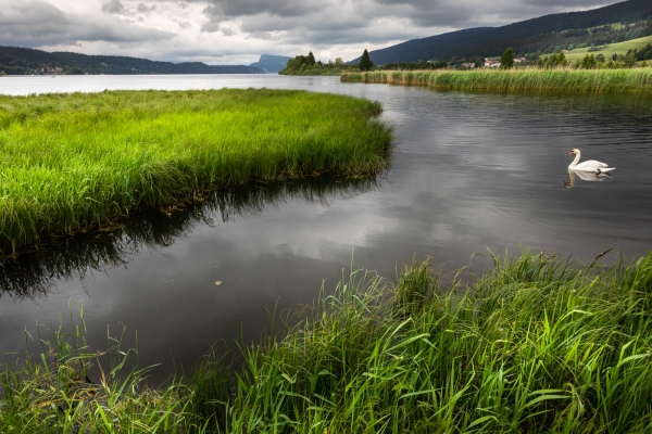 An den Ufern des Lac de Joux