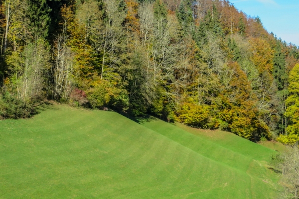 Säntisblick über dem Neckertal