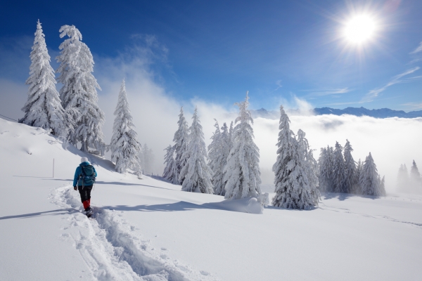 Auf der Rigi Scheidegg