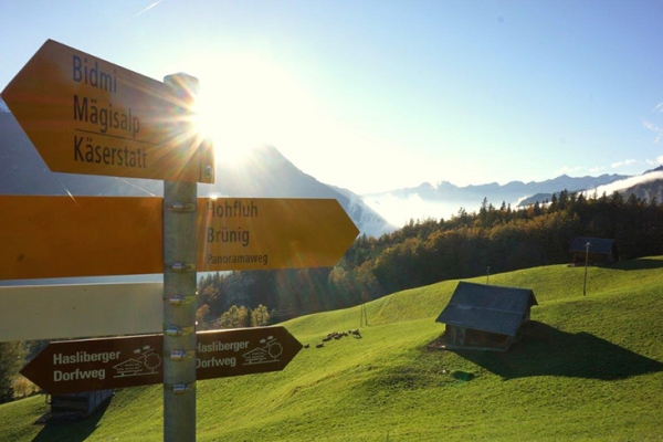 Dem Brünig entgegen