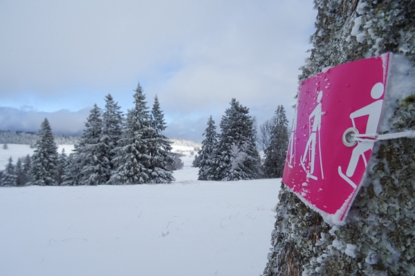 Schneeschuhtour auf dem Grenchenberg