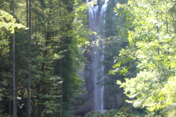 Cascades