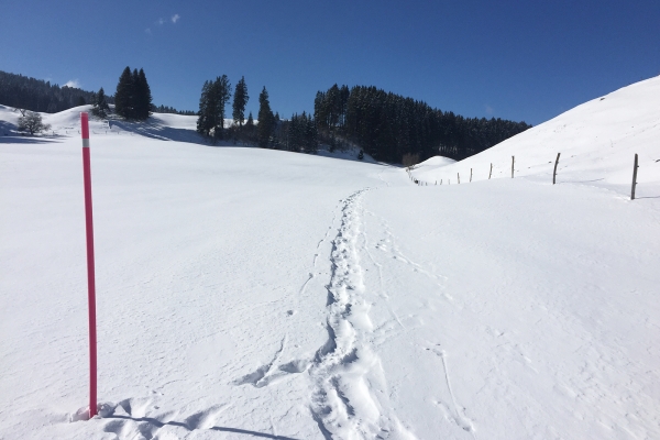 Durch verschneite Jurahöhen