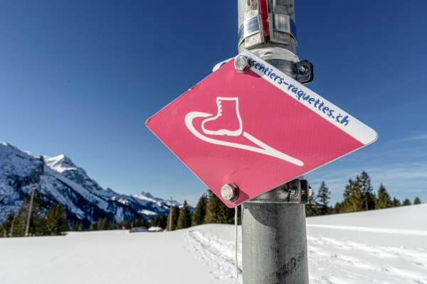 Sonne geniessen vor den schattigen Diablerets