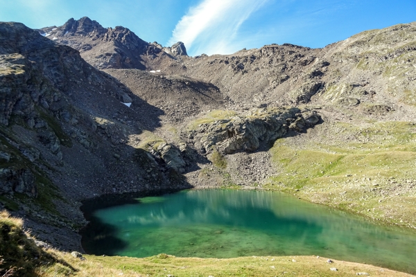 Im Reich von Alpenmohn und Steinbock