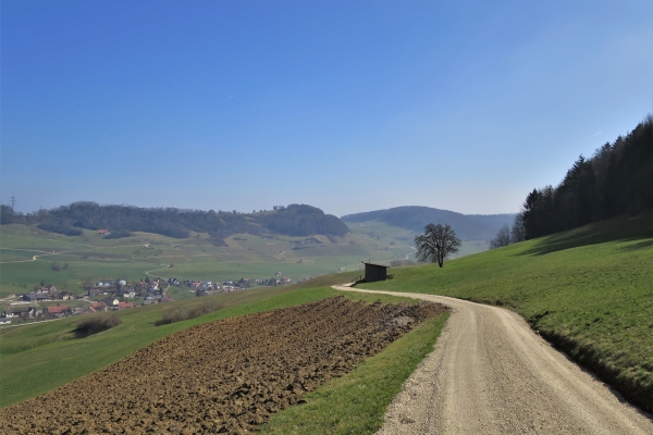 Von Wil AG über den Laubberg nach Remigen