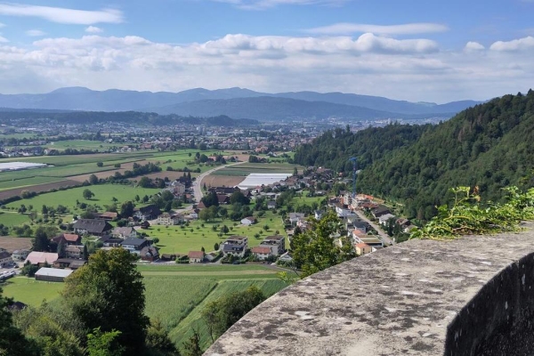 Historische Grenzen um Zofingen