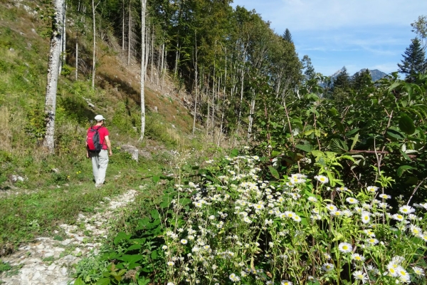 Wanderung auf die Vudalla im Naturpark Gruyère Pays-d’Enhaut