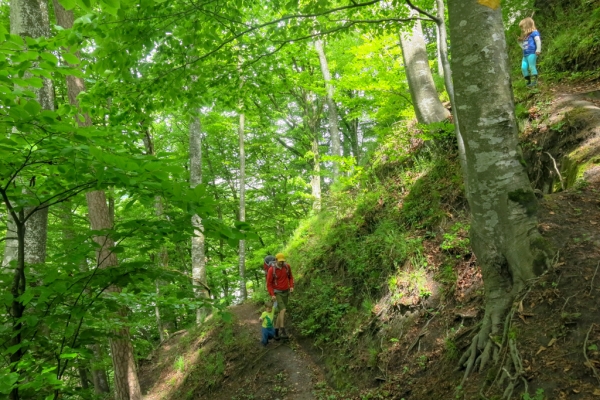 L’Emmental et sa molasse