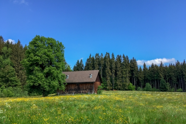 Schöne Aussichten auf dem Eggen Höhenweg