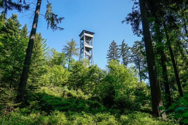 Vers Aarberg par le Frienisberg