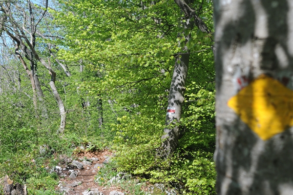 Sur une arête du Mittelland