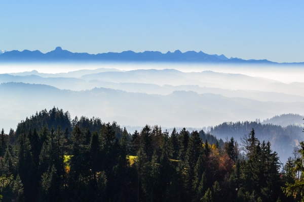 L’Emmental sous son plus beau jour