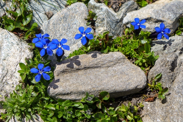 Berauschende Aussichten bei Saas-Fee