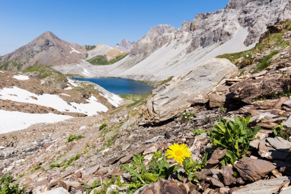 Eau vive près du Piz Ela