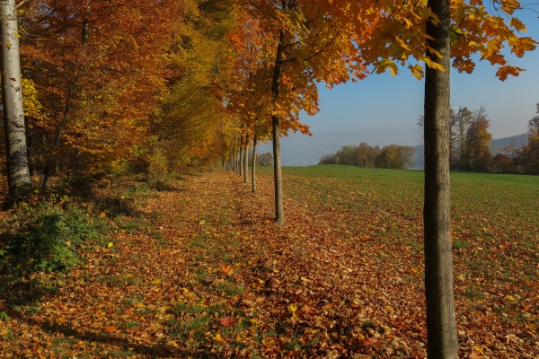 Colline ou montagne?