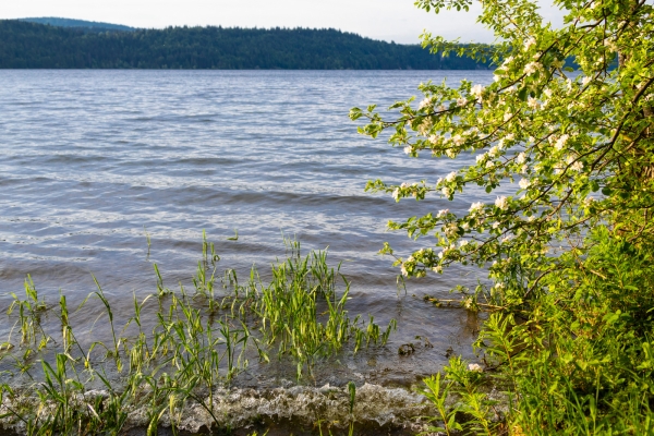 An den Ufern des Lac de Joux