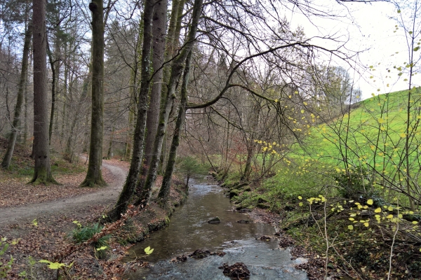 Dem Gäbelbach entlang nach Bern