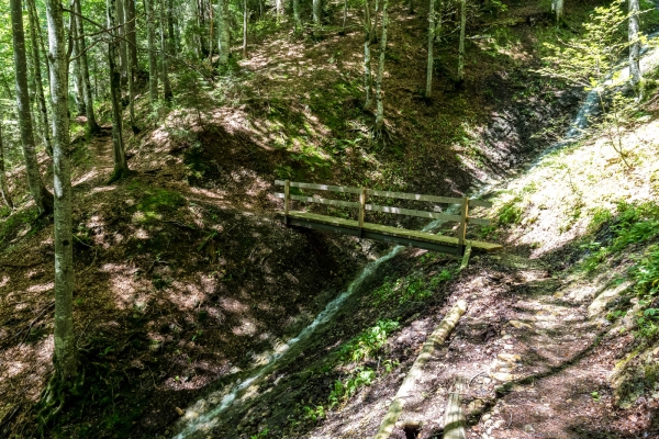 Vers Schwägalp par les gorges d’Ofenloch (AR)