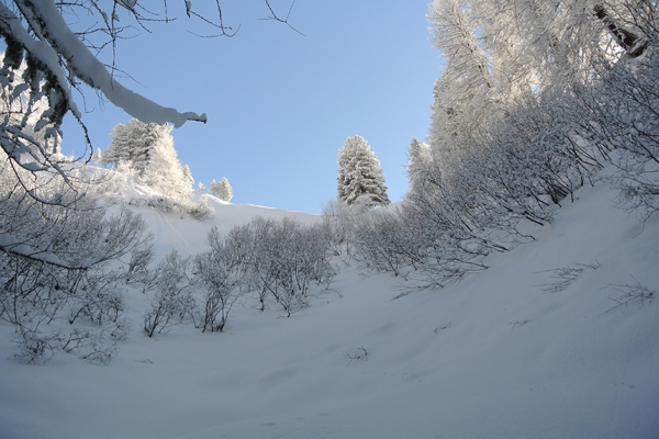 Féerie hivernale à Preda