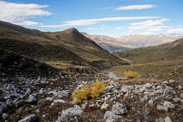 Der goldene Herbst von Zuoz