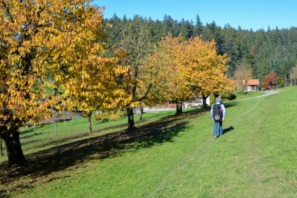 Randonnée d’automne sur le Muetegg