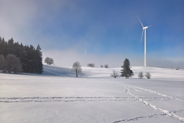 En raquettes au Mont-Soleil