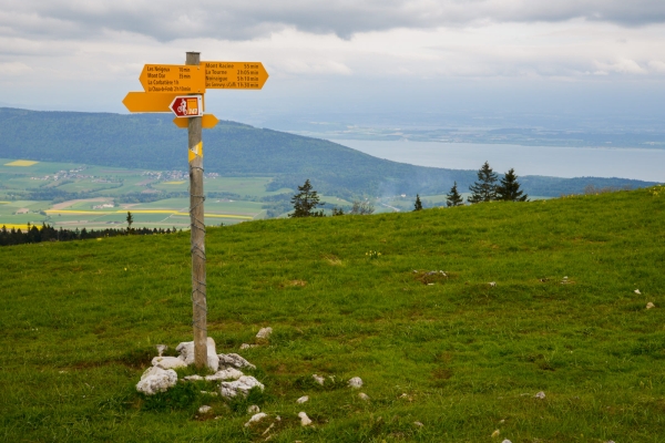 Berglandwirtschaft im Neuenburger Jura