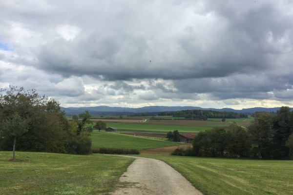 Un après-midi dans les forêts jurassiennes