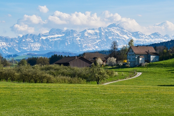 Visite du Fürstenland II