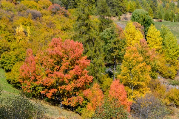 Escursione fluviale lungo il Rom GR