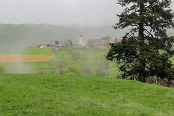 Roche druidique près de Bourrignon JU