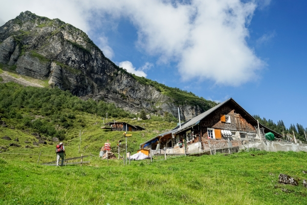 Entre les vallées de Bisistal et de Muotatal