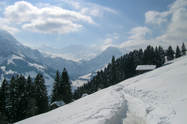 Beau panorama sous le soleil d’Adelboden 