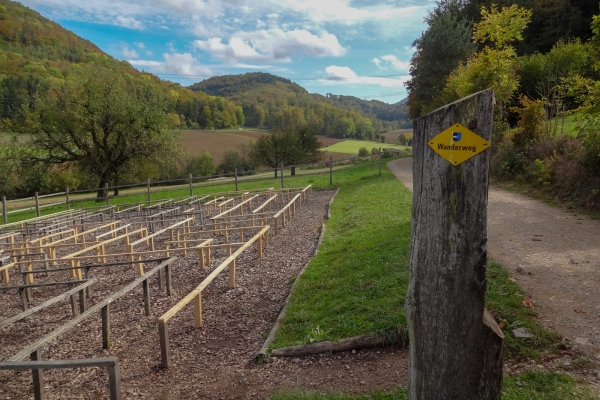 Dans le parc naturel du Jura argovien