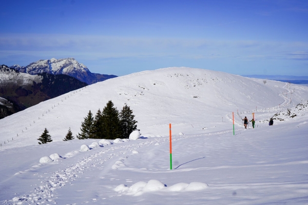 Leichte Schneeschuhwanderung auf dem Niederbauen