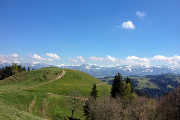 Montée vers le soleil dans la région du Napf