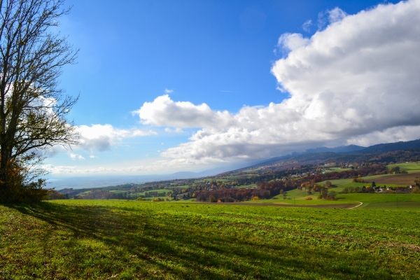 De Gimel au vignoble de La Côte