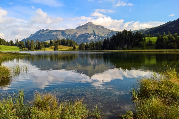 Le Saanenland vu d’en haut