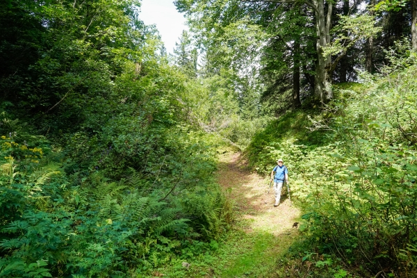 Entre les vallées de Bisistal et de Muotatal