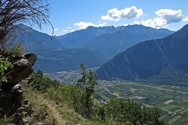 Raretés au coude du Rhône